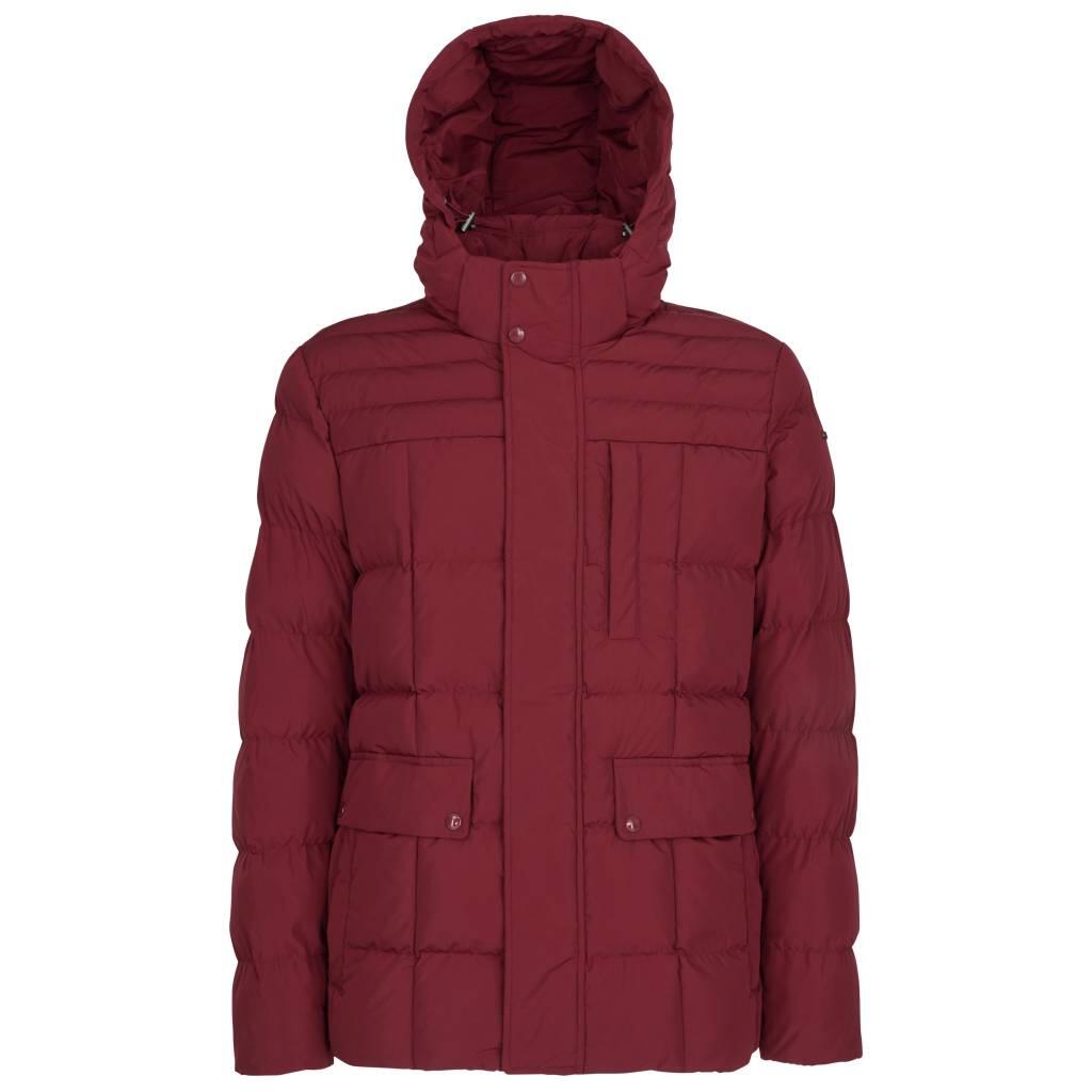 Veste Geox Modèle M Hilstone Couleur Bordeaux 2/5