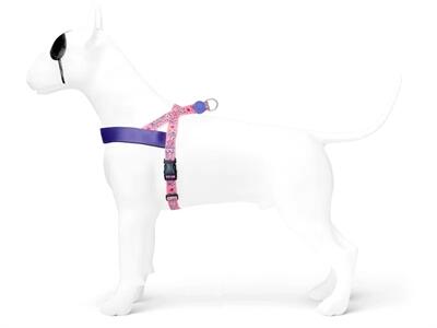 Morso Hondentuig Gerecycled Sweet Tweet Roze voor Honden 2/5