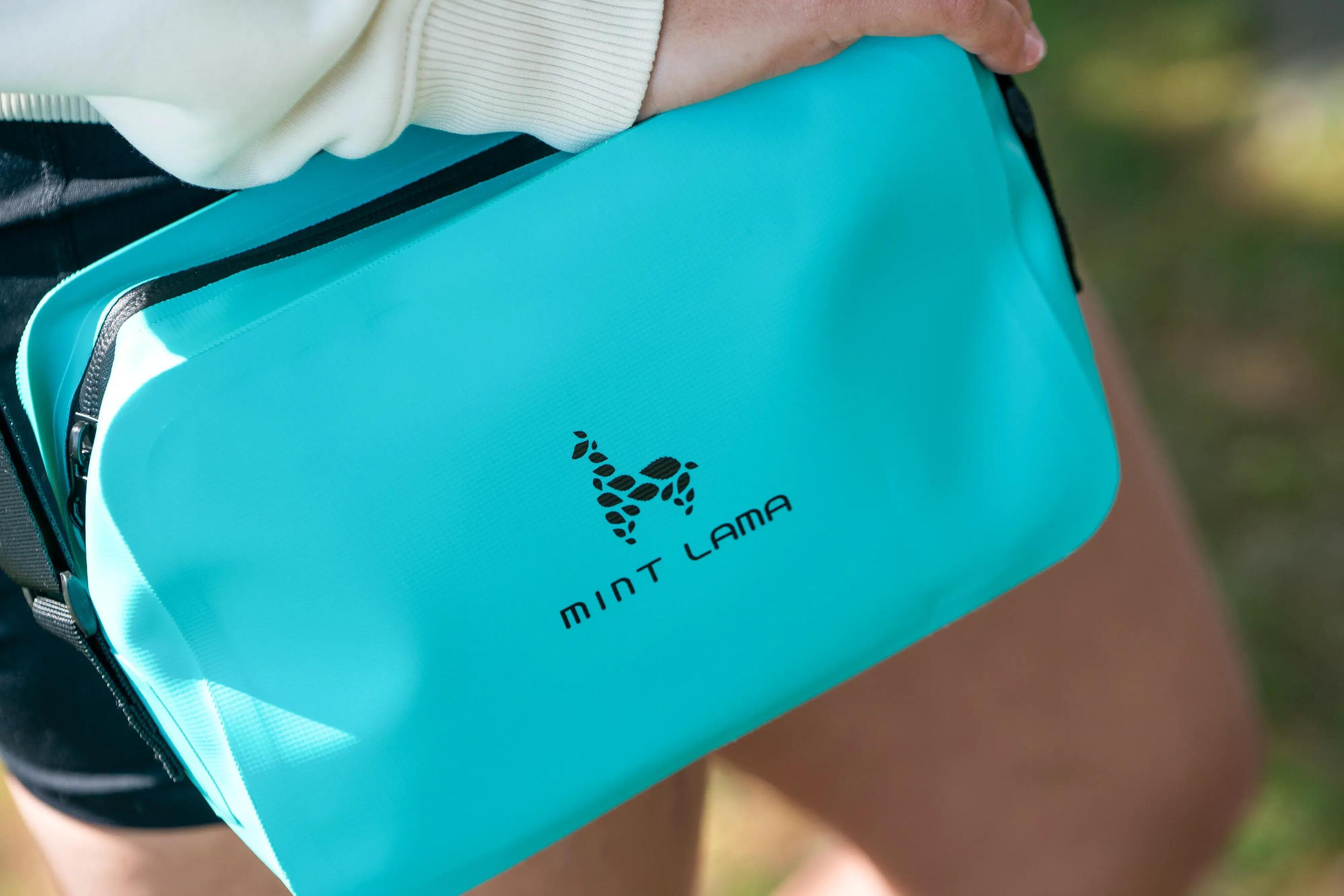 Pouch Bag mênthe 3/6