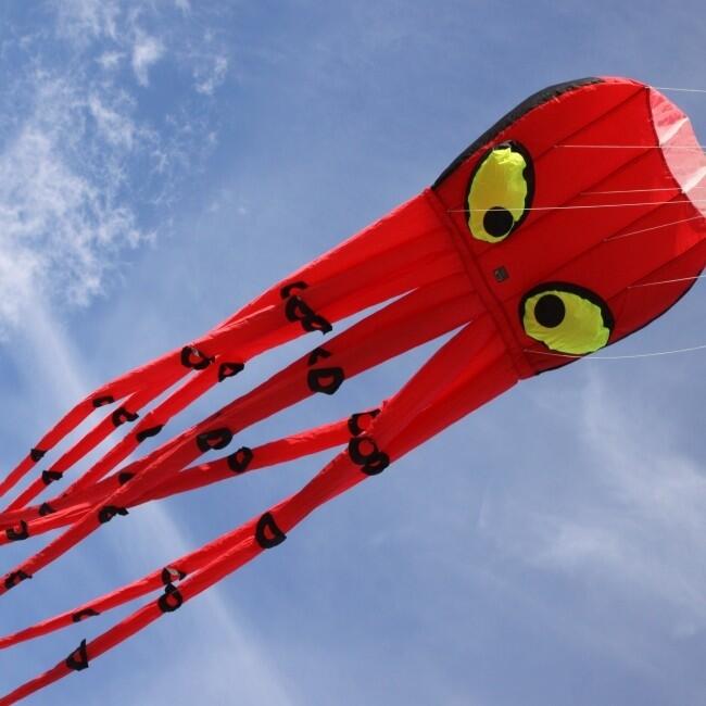 Cometa infantil Wolkensturmer Otto el Pulpo 160530 Roja 50 x 250 cm 5/6