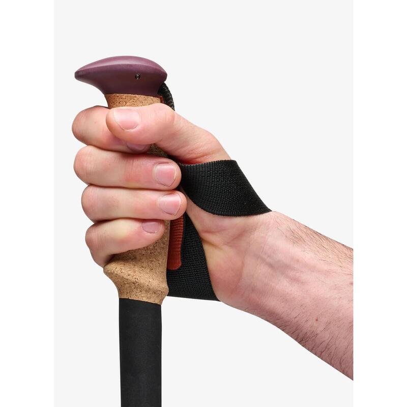 Kije trekkingowe Black Diamond Trail Cork Trekking Poles