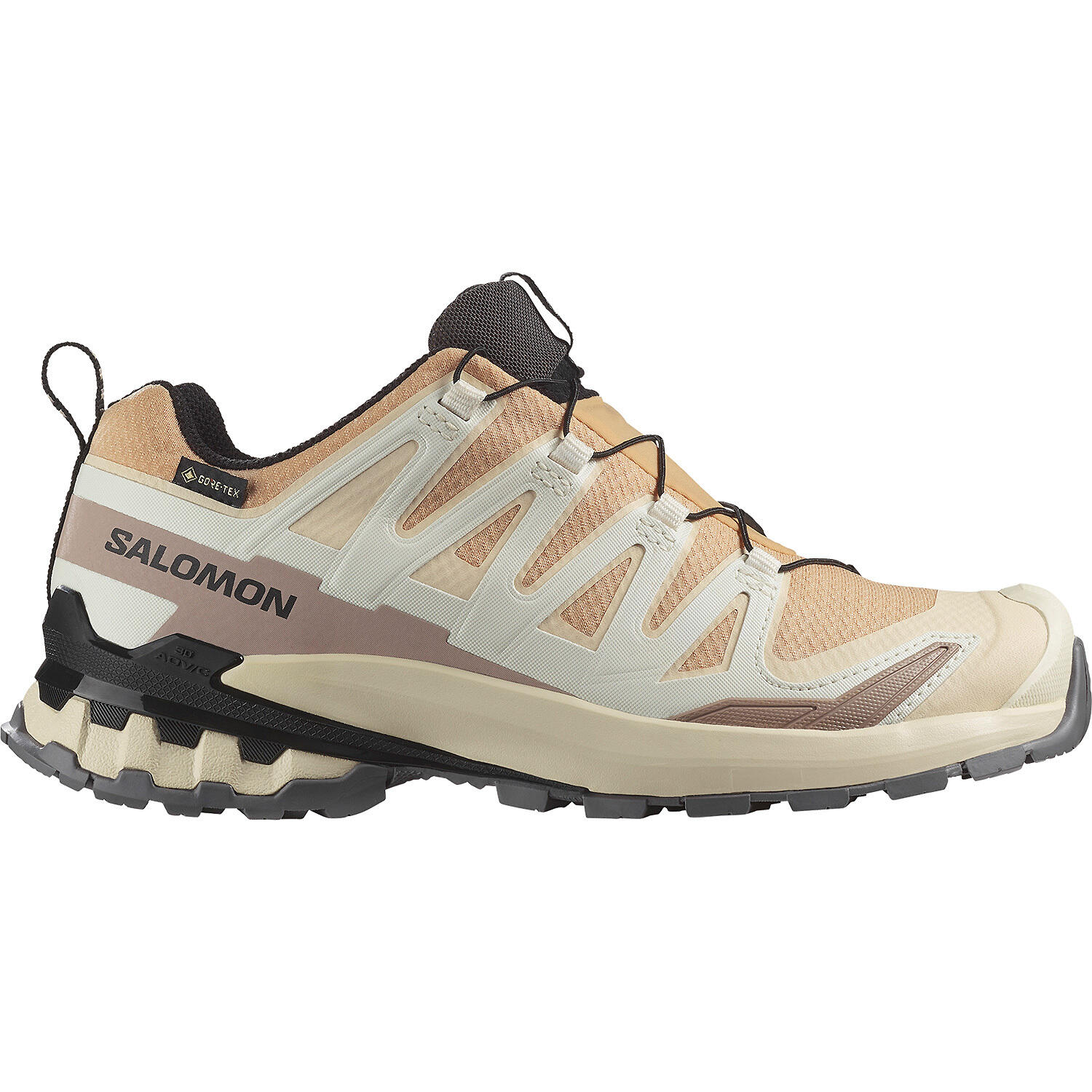 SALOMON picture