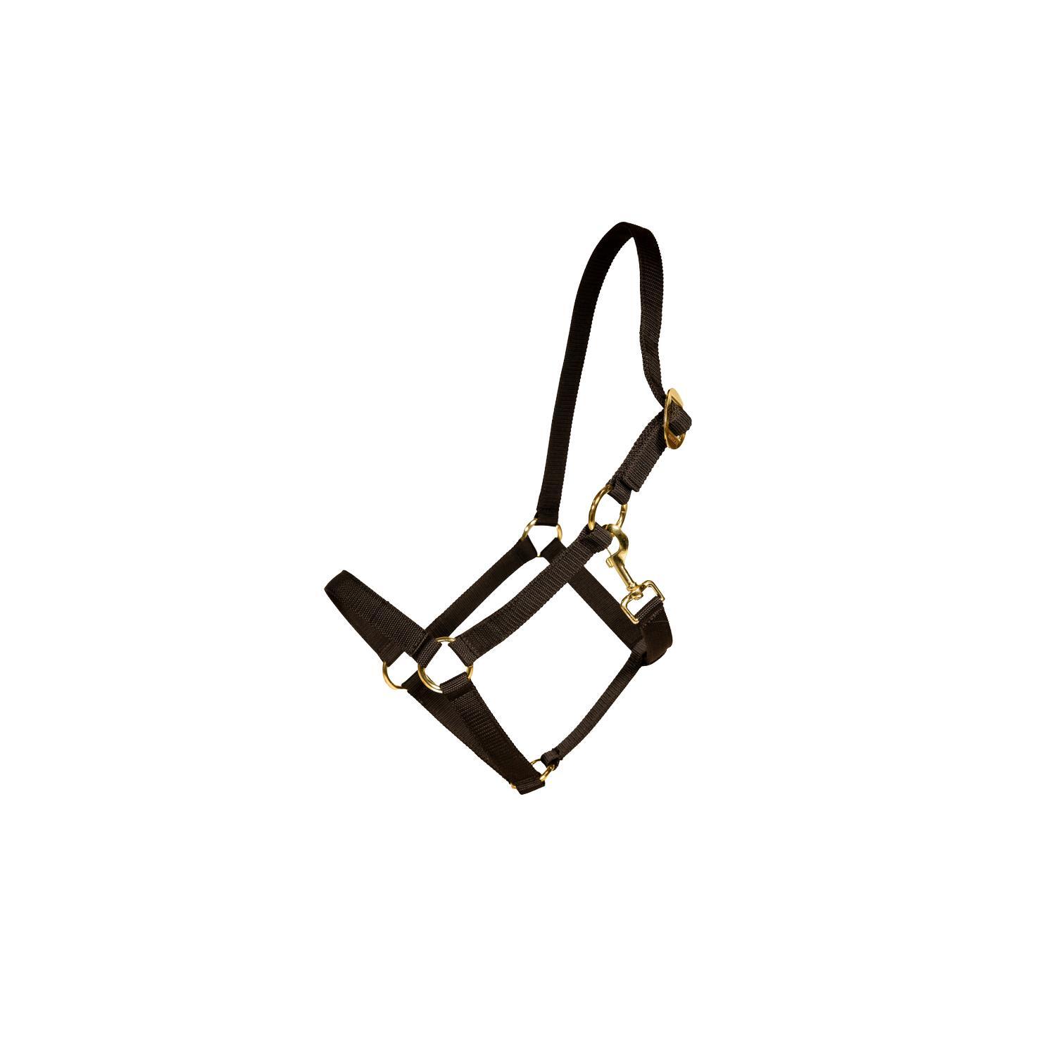 KENTUCKY HORSEWEAR Halster FULL - Zwart - Nylon