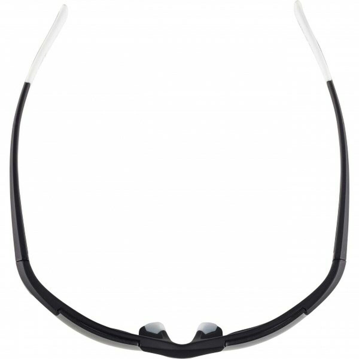 Lunettes de soleil Homme Alpina DEFEY HR 4/4