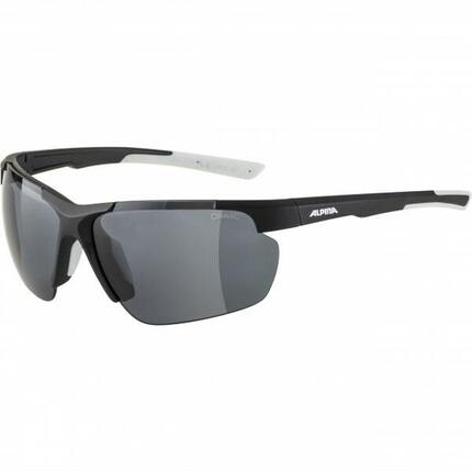 Lunettes de soleil Homme Alpina DEFEY HR