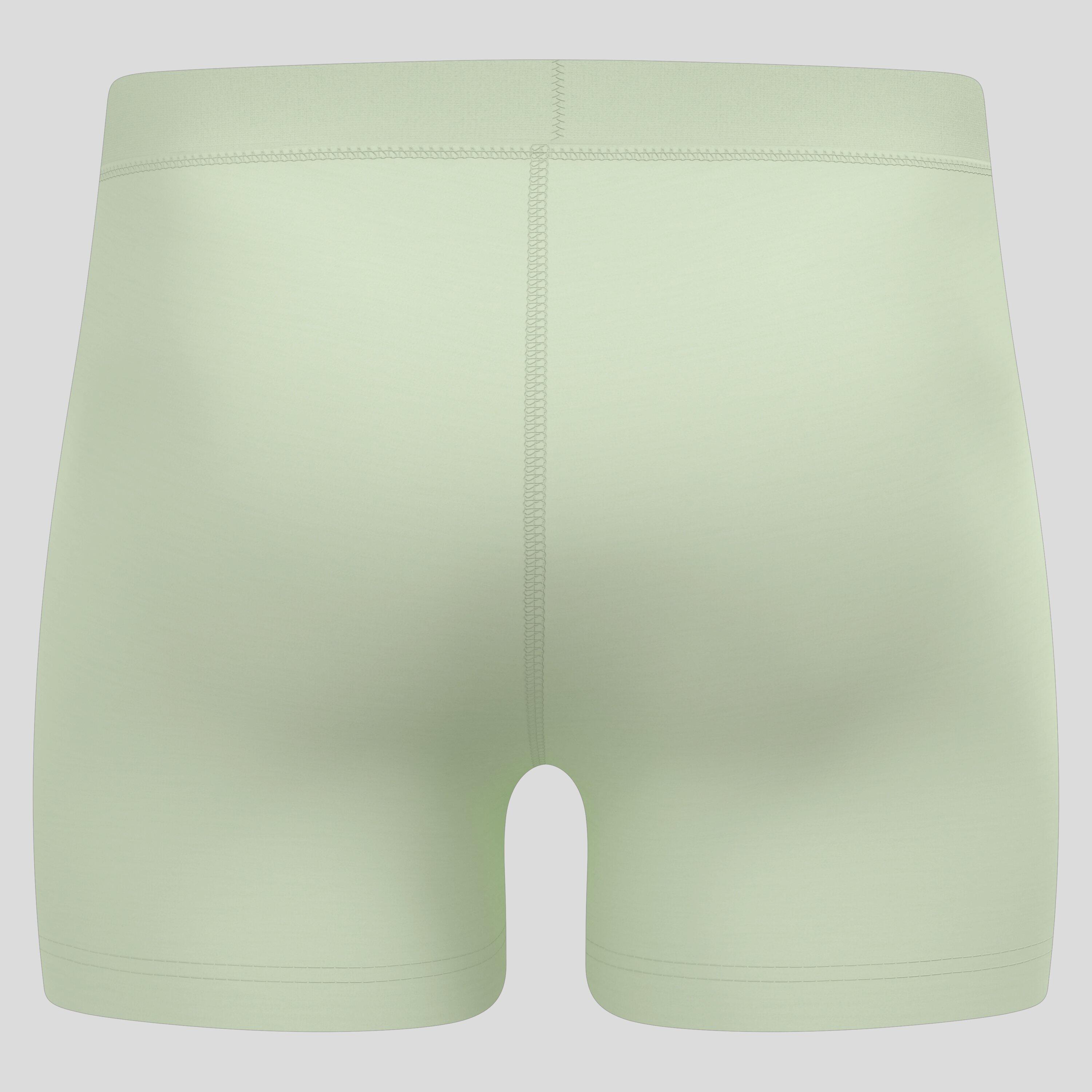 Boxer sportivi Natural merino 160 ODLO 2/2