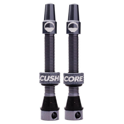 Ventil für die Felge CushCore