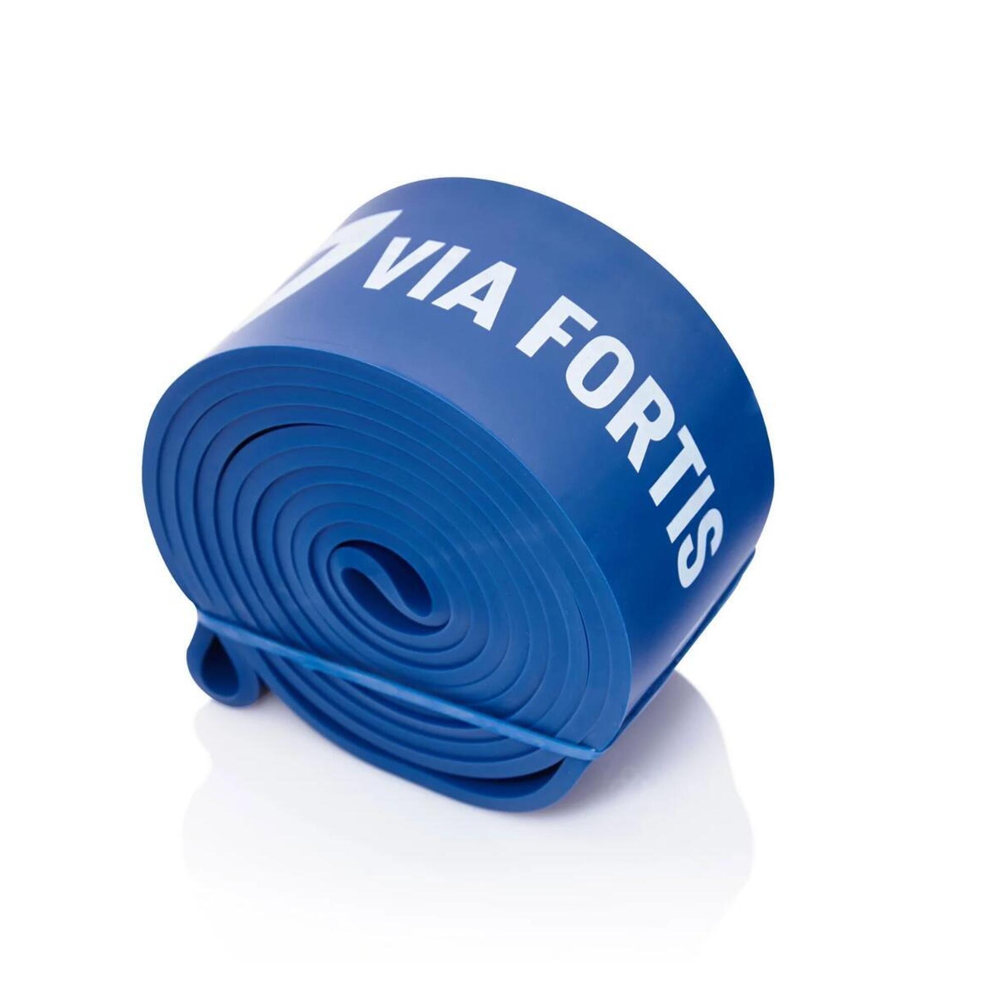 Via Fortis - Bande Élastique Avec Guide D'Exercices Pour Fitness, Gym, Étirements - Elastique D'Entraînement - Bleu - Taille Unique - Decathlon