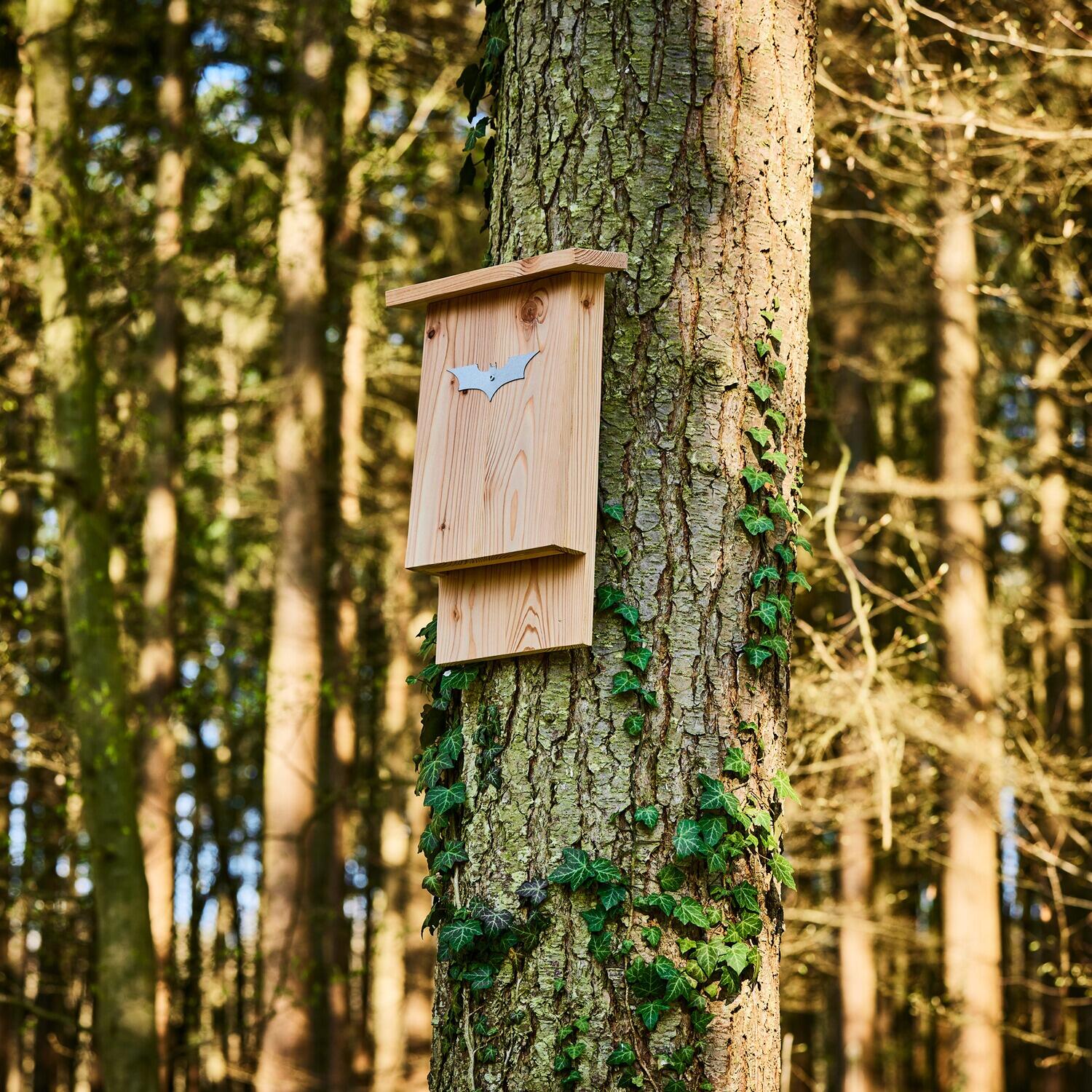 Fledermauskasten 5/7