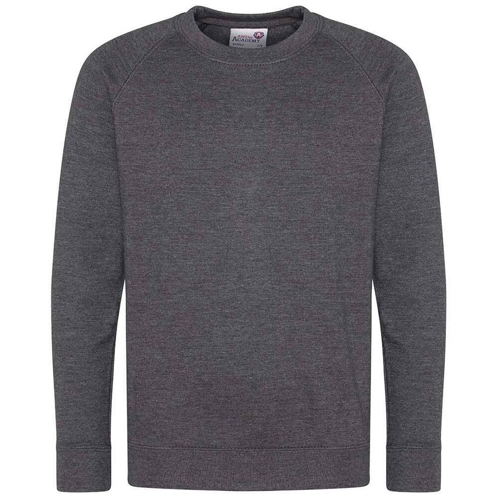 Awdis Childrens/Kids Academy Raglan Sweatshirt