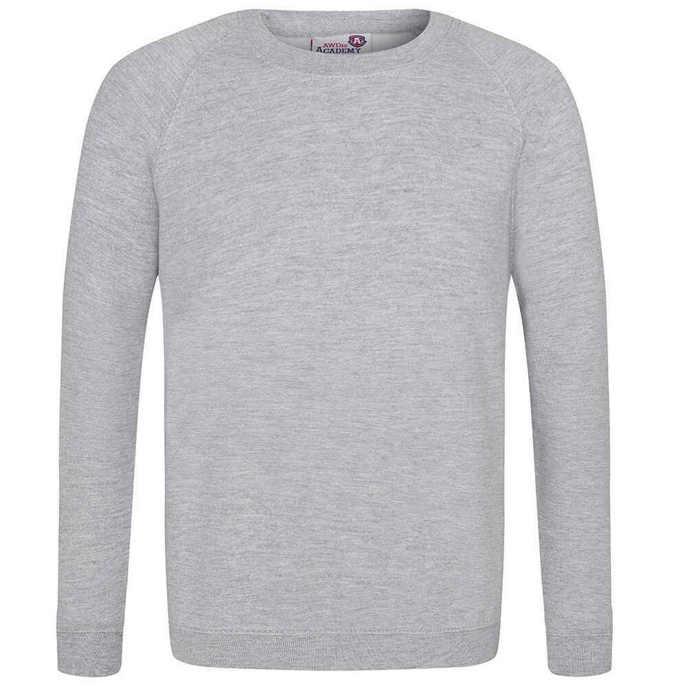 Awdis Childrens/Kids Academy Raglan Sweatshirt