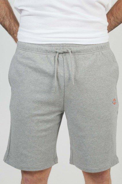 Pantalons Dickies Modèle Mapleton Short Unisex Couleur Gris 5/5