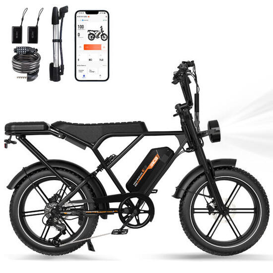 Vélo Électrique RCB-G19 (App/NFC) Tout Suspendu, Pneus 20×4.0