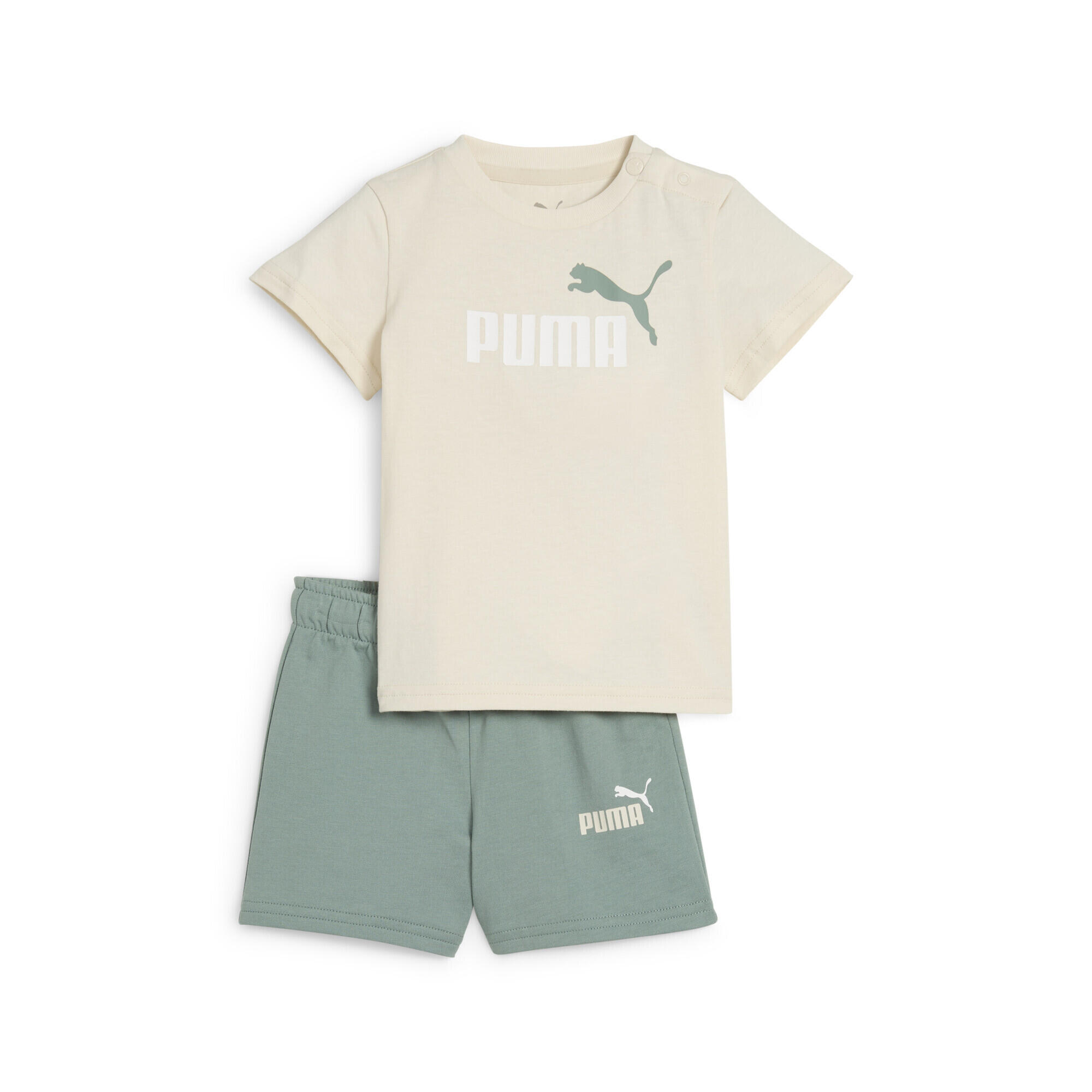 PUMA picture