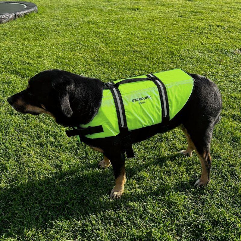 Stardupp green dog life jacket, size XS 2/3