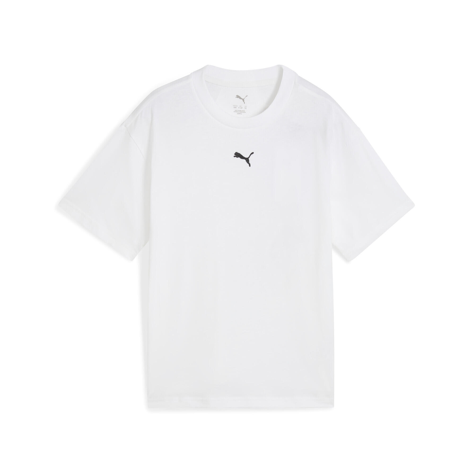 PUMA picture