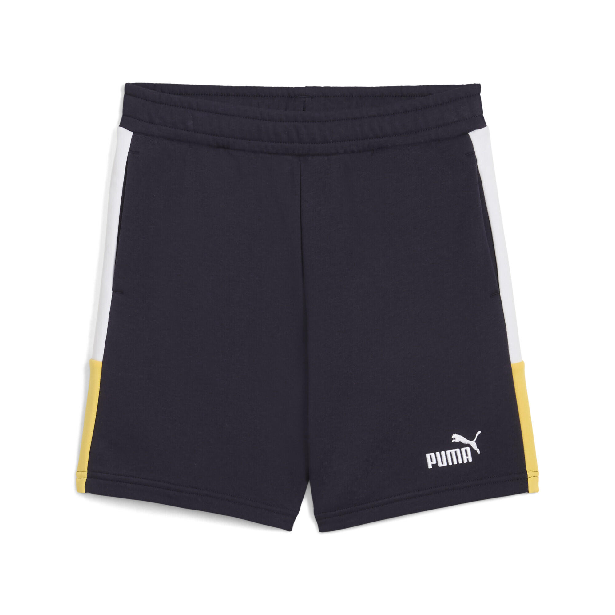 PUMA picture