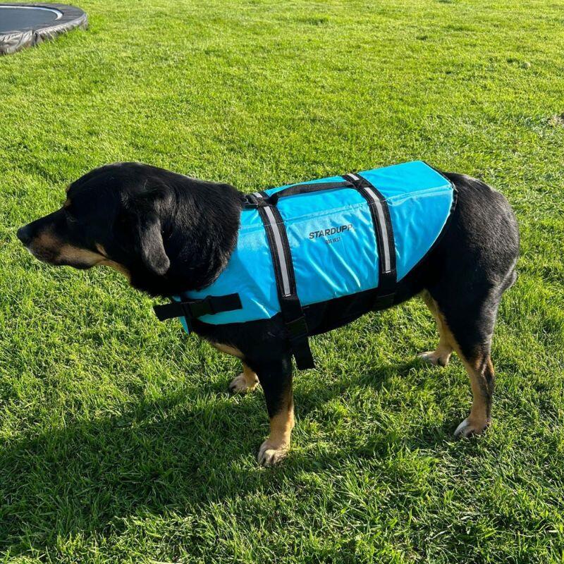 Stardupp Hunde-Schwimmweste Aqua, Größe XS 3/5