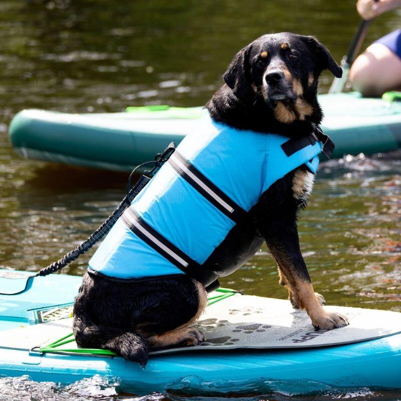 Stardupp Hunde-Schwimmweste Aqua, Größe XS 2/5