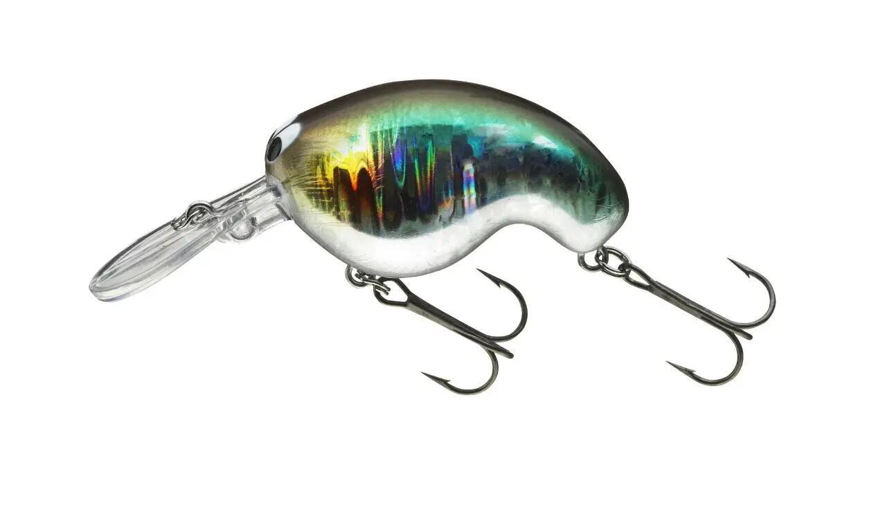DAIWA picture