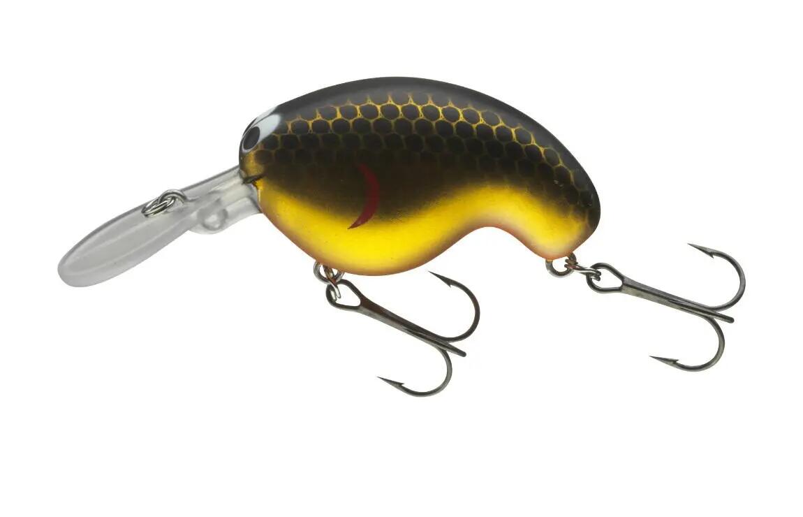 DAIWA picture