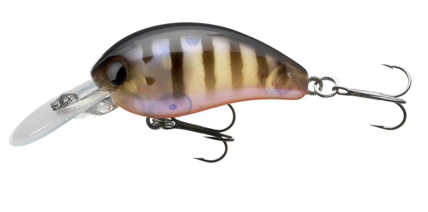 DAIWA picture