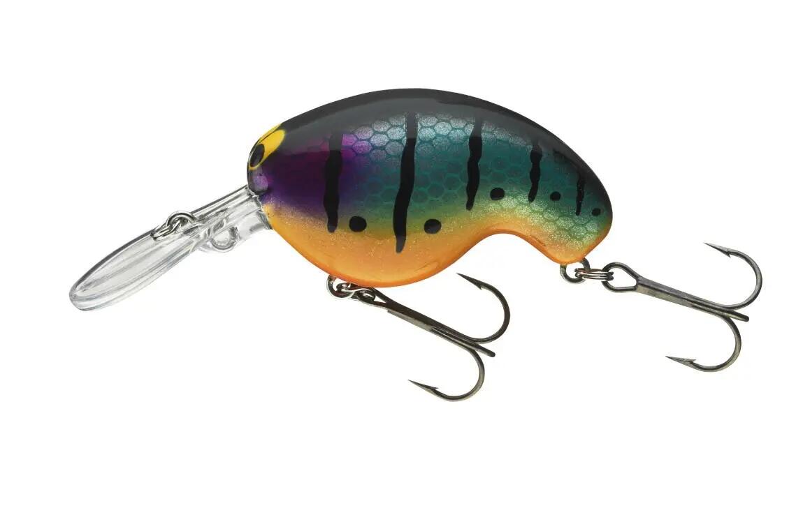 DAIWA picture