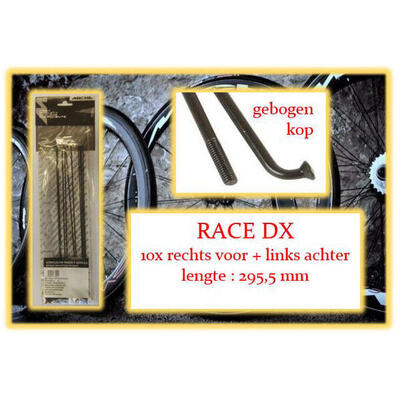 Miche Speiche und Nippel 10x RV La Race AXT WP Disk Drahtfelge