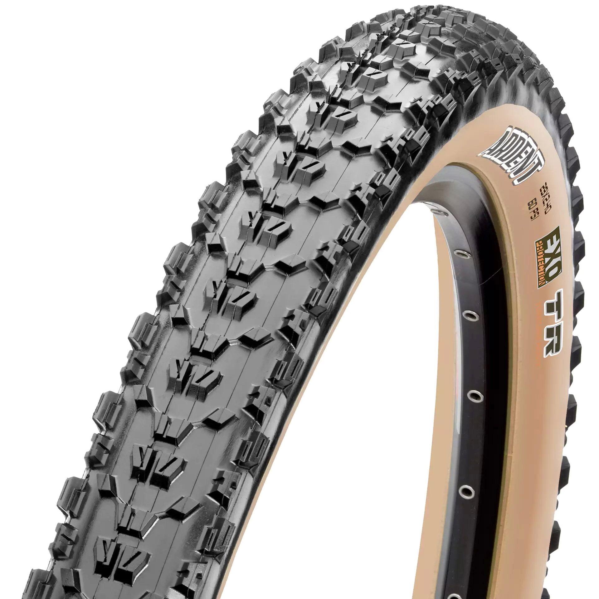 SCHWALBE picture