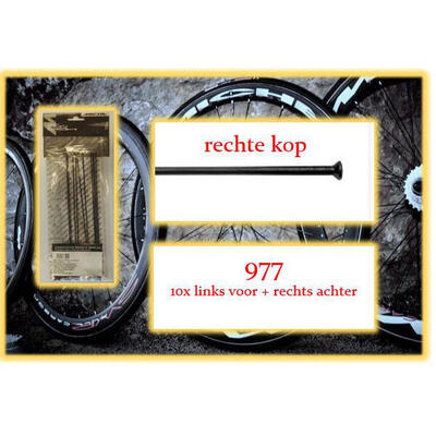 Miche spaak en nip 10x lv+ra 977 rechte kop