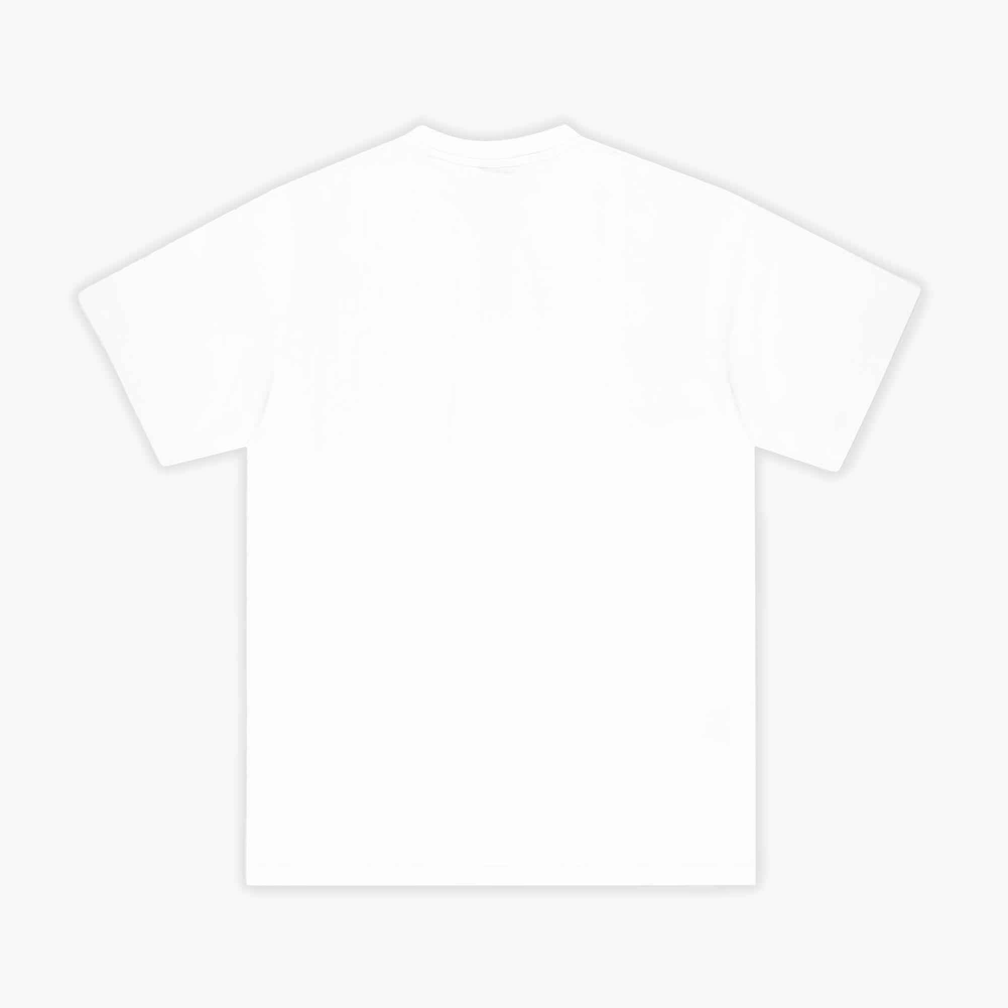 T-shirt da uomo PROSTO Box 2/4
