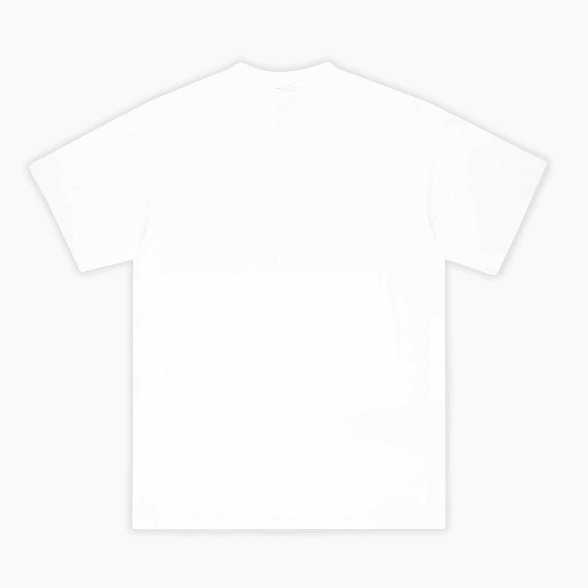 T-shirt da uomo PROSTO College 2/4