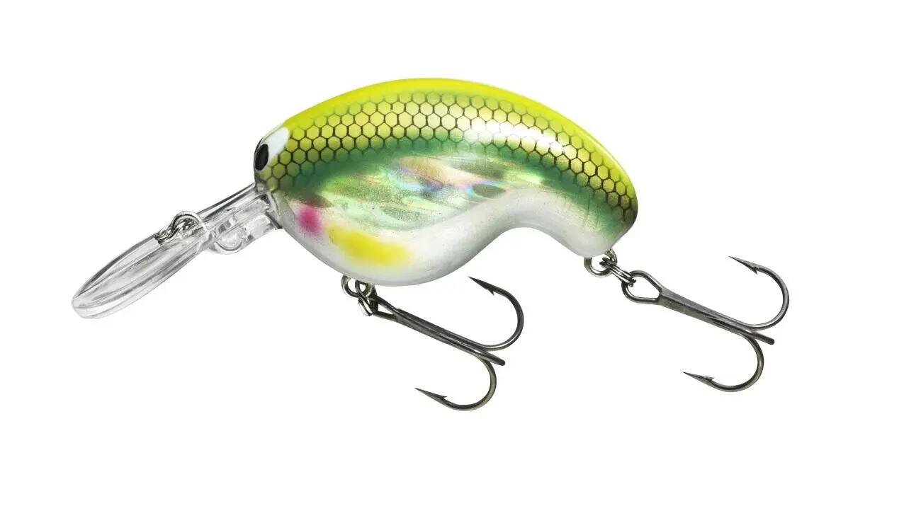 DAIWA picture