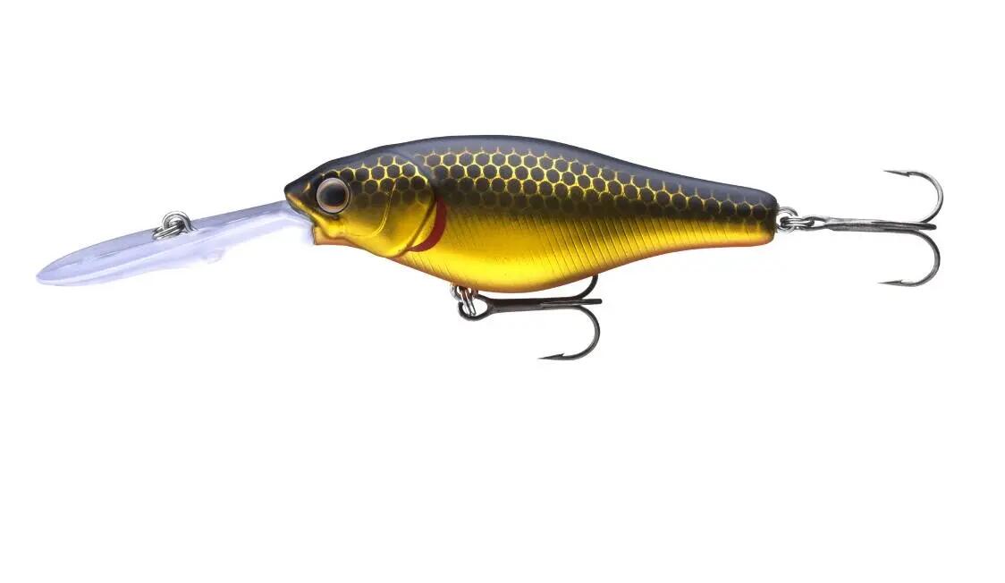 DAIWA picture