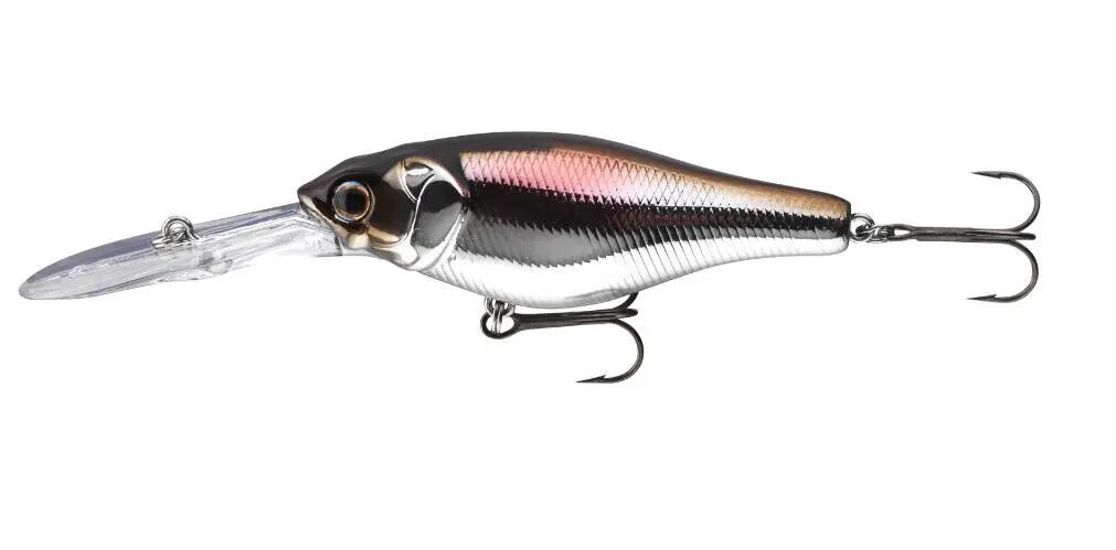 DAIWA picture