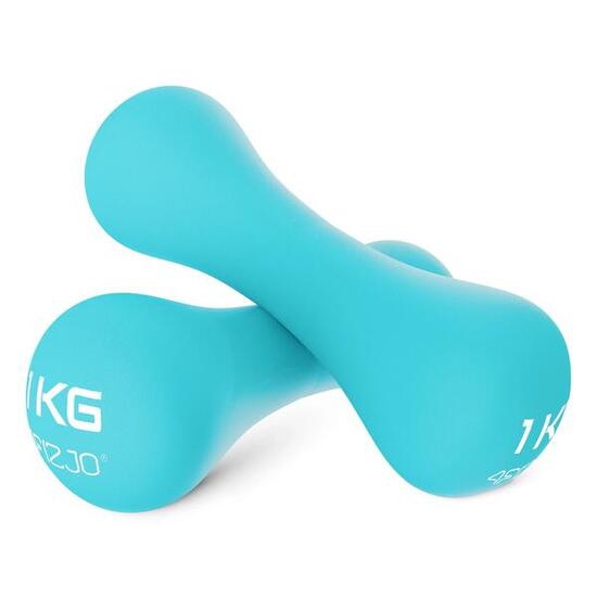 4FIZJO Gusseisen Hanteln mit Vinylbeschichtung