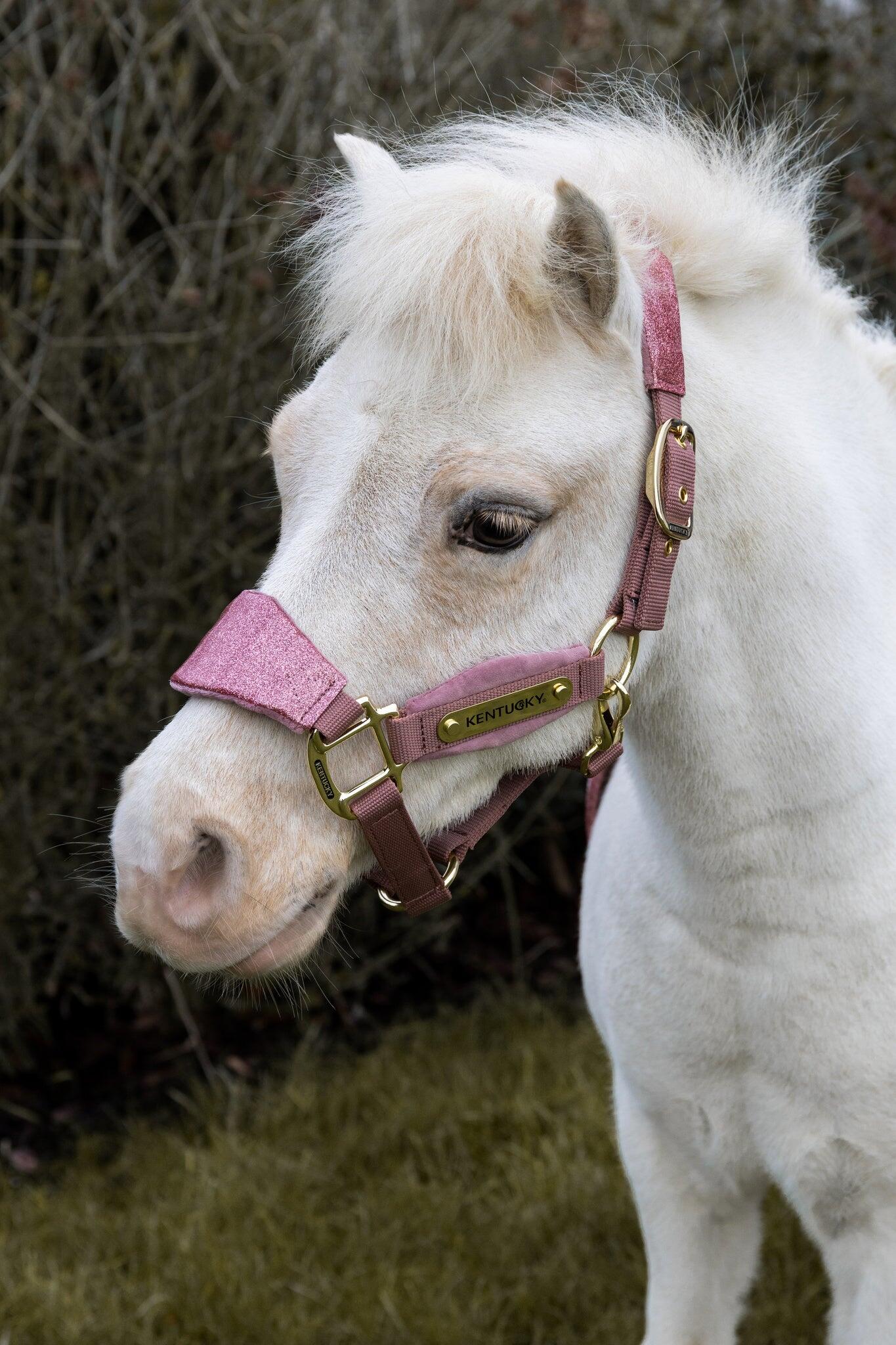 Velvet halter unicorn glitter old rose pony 5/5