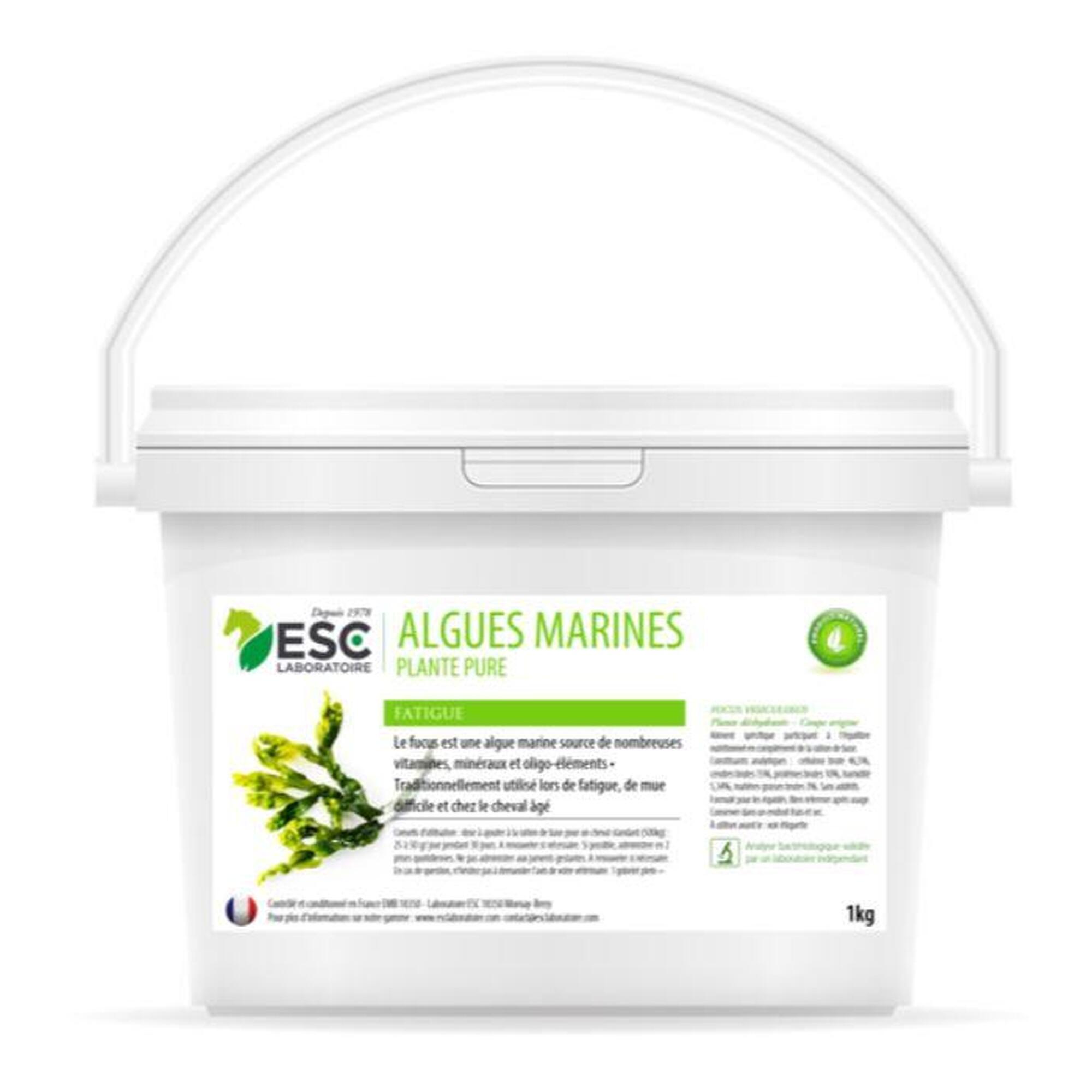 Esc Laboratoire - Algues Marines Forme Et Vitalité - Esc Laboratoire - Argile - 1 Kg - Decathlon