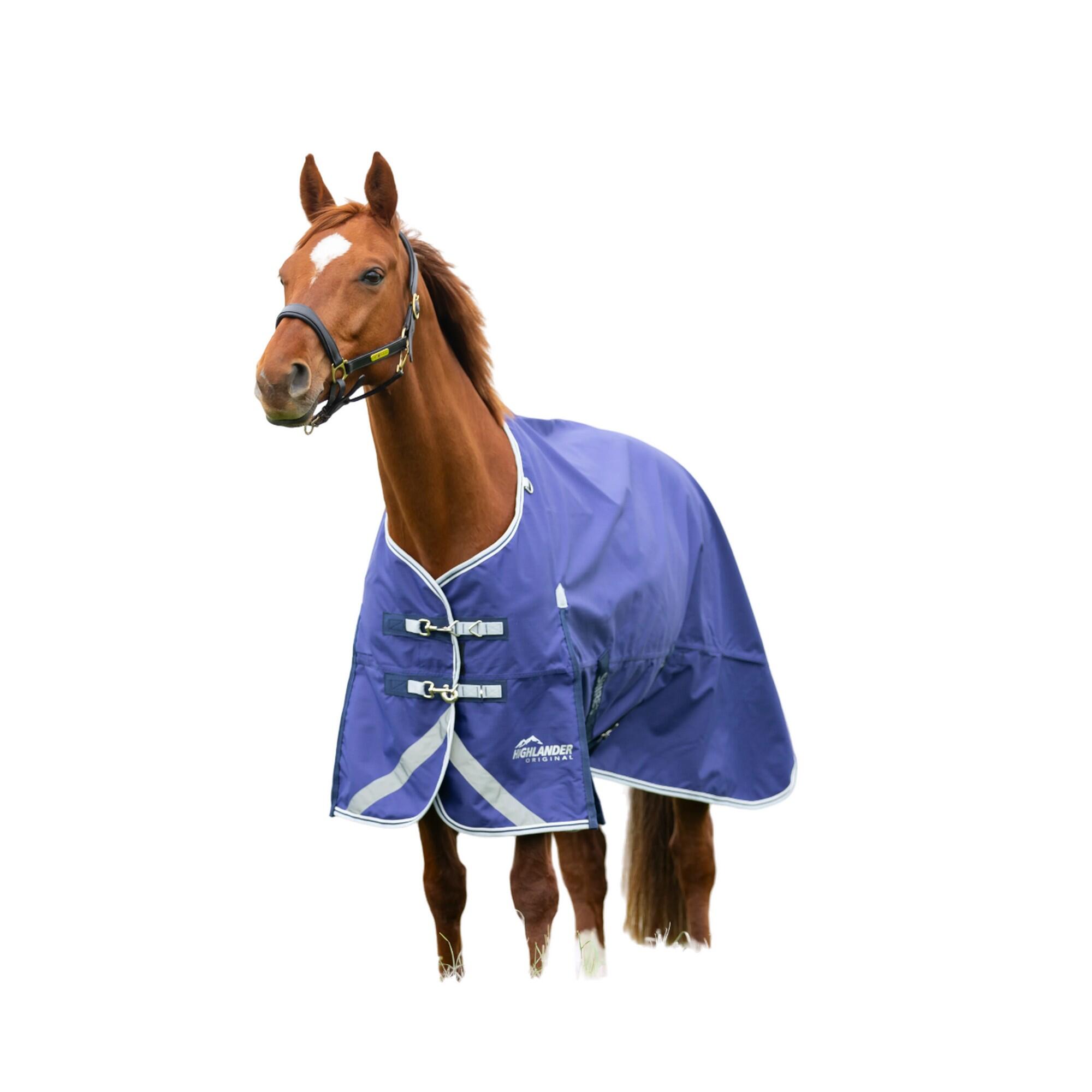 SHIRES picture