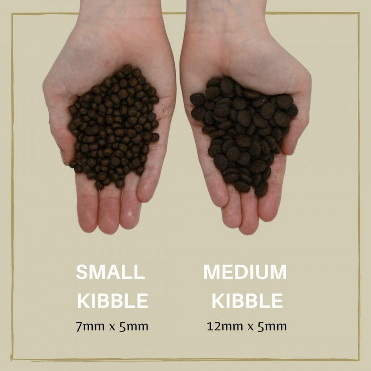 Nourriture EDEN 80/20 Medium kibble Saumon 2/2