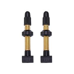 Valve Presta BTI-159 48 mm en laiton tubeless (lot de 2)