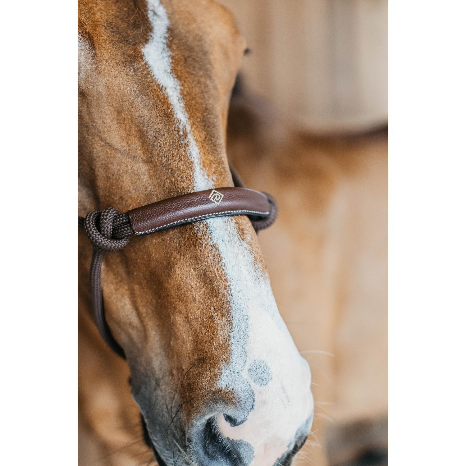 KENTUCKY HORSEWEAR Training Halster