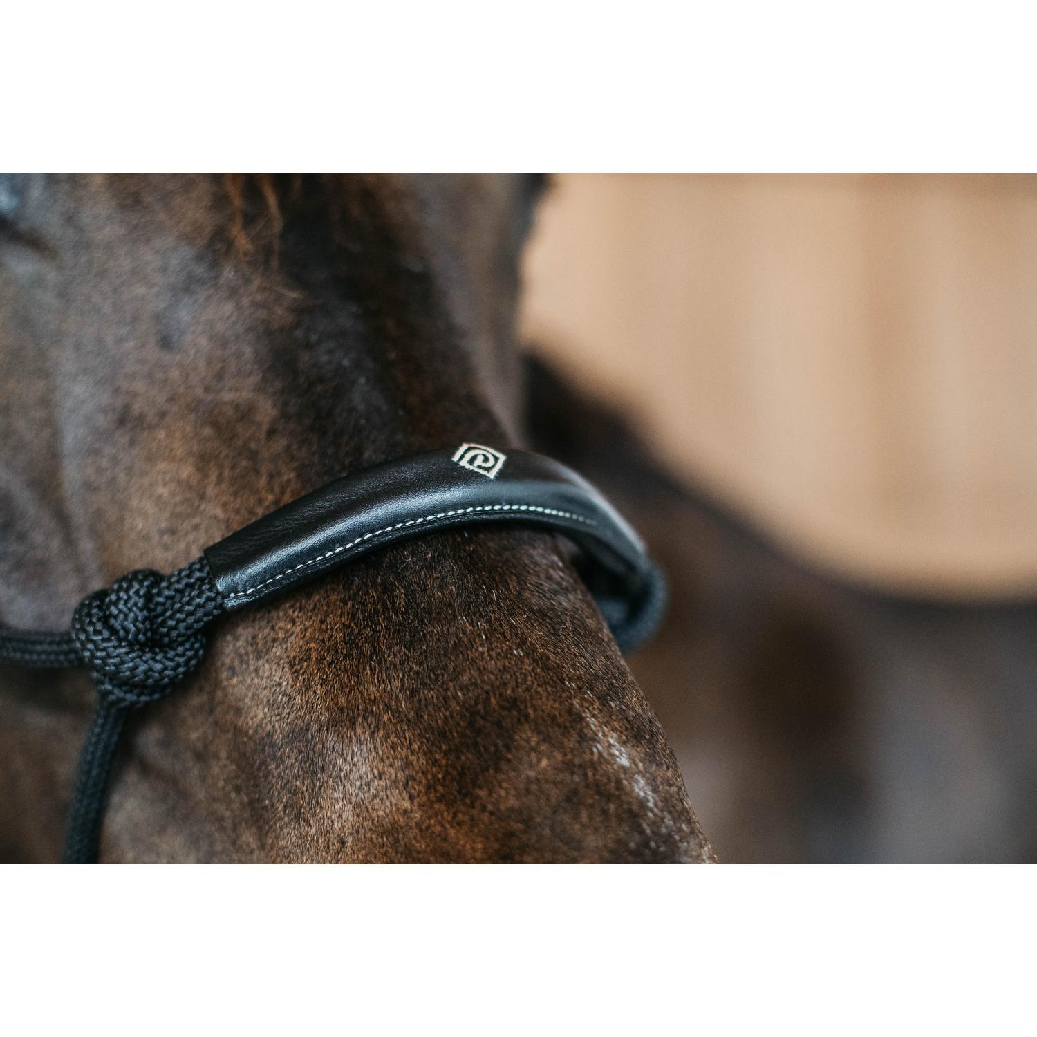 KENTUCKY HORSEWEAR Training Halster
