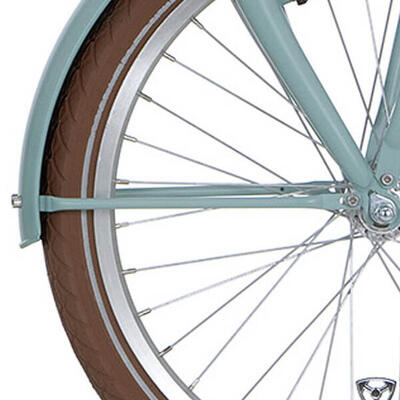 Alpina spatbordstangen set 20 inch cargo soft mint matt