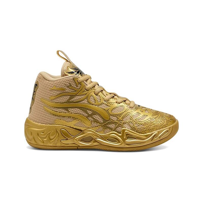 PUMA picture