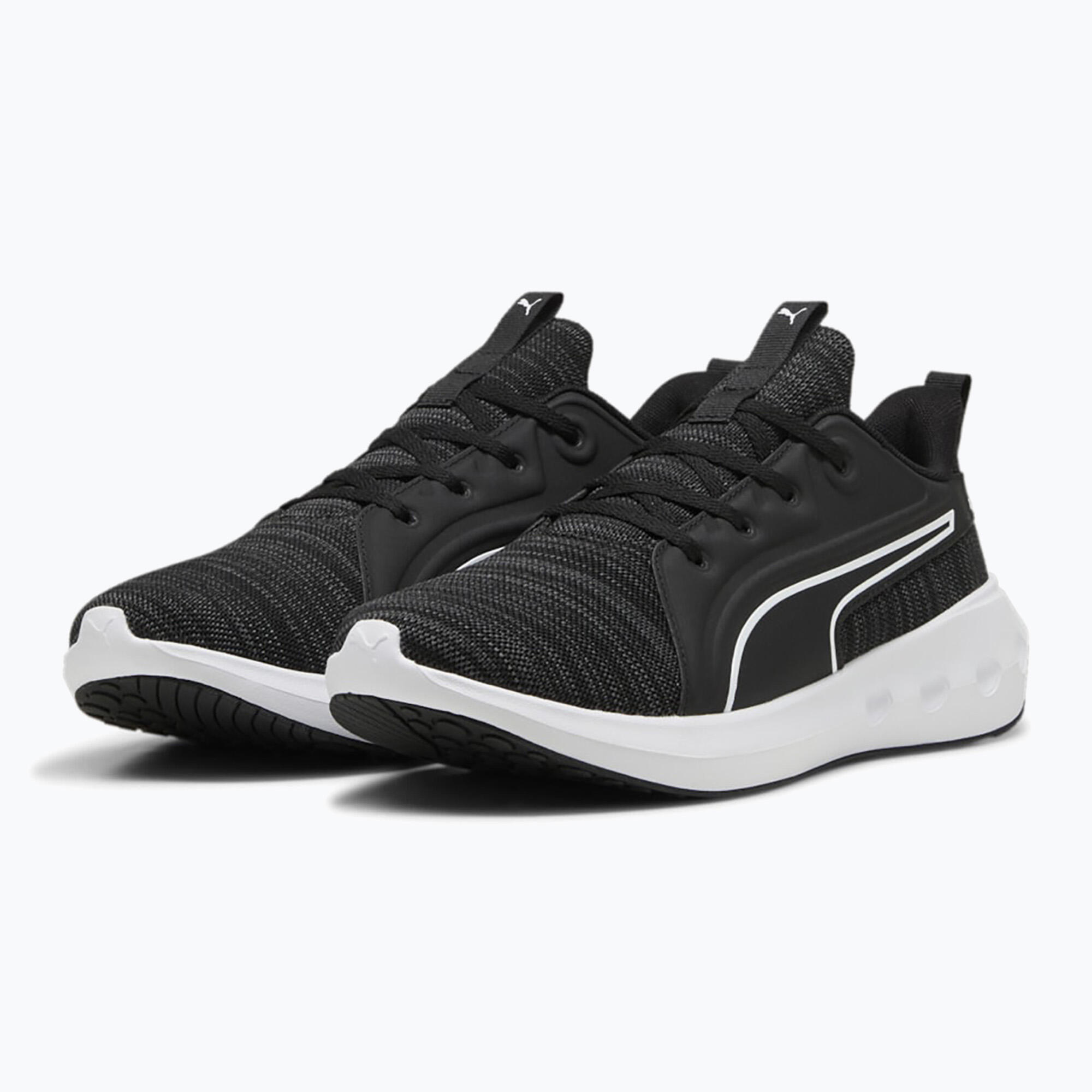 PUMA picture