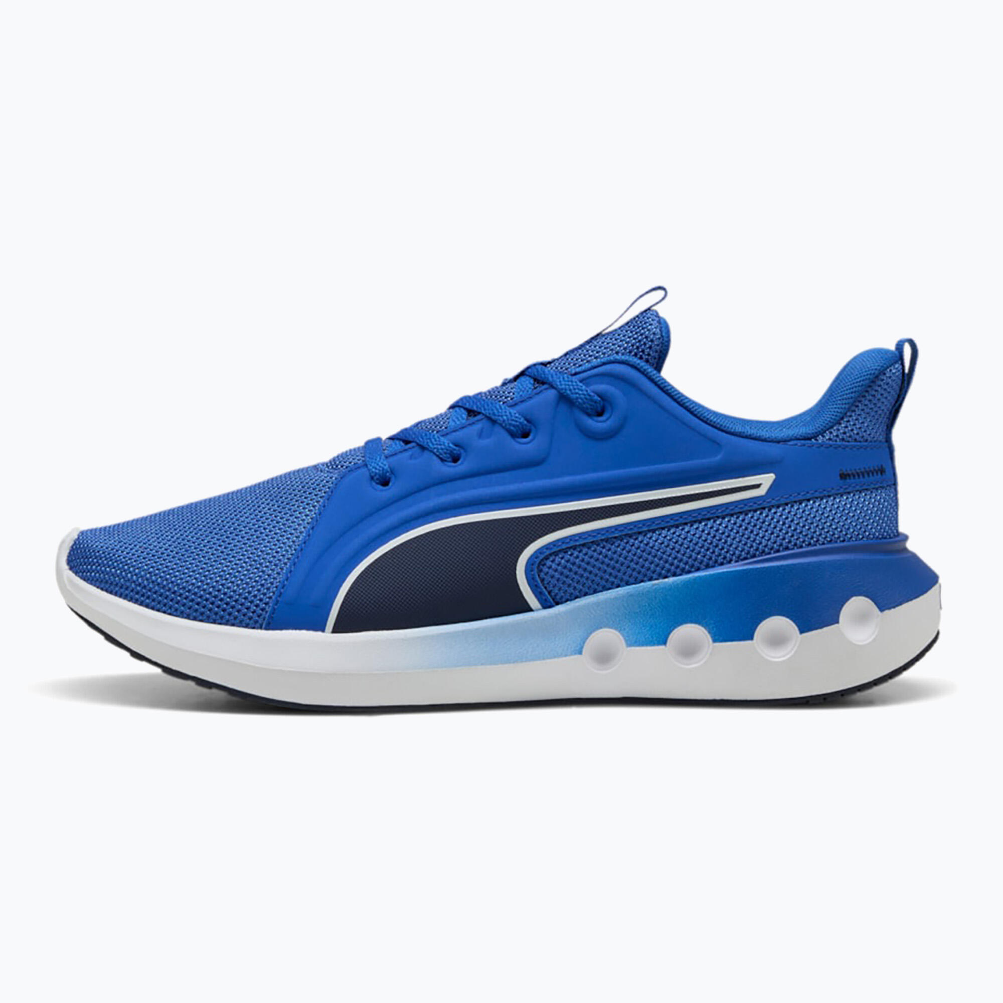 PUMA picture