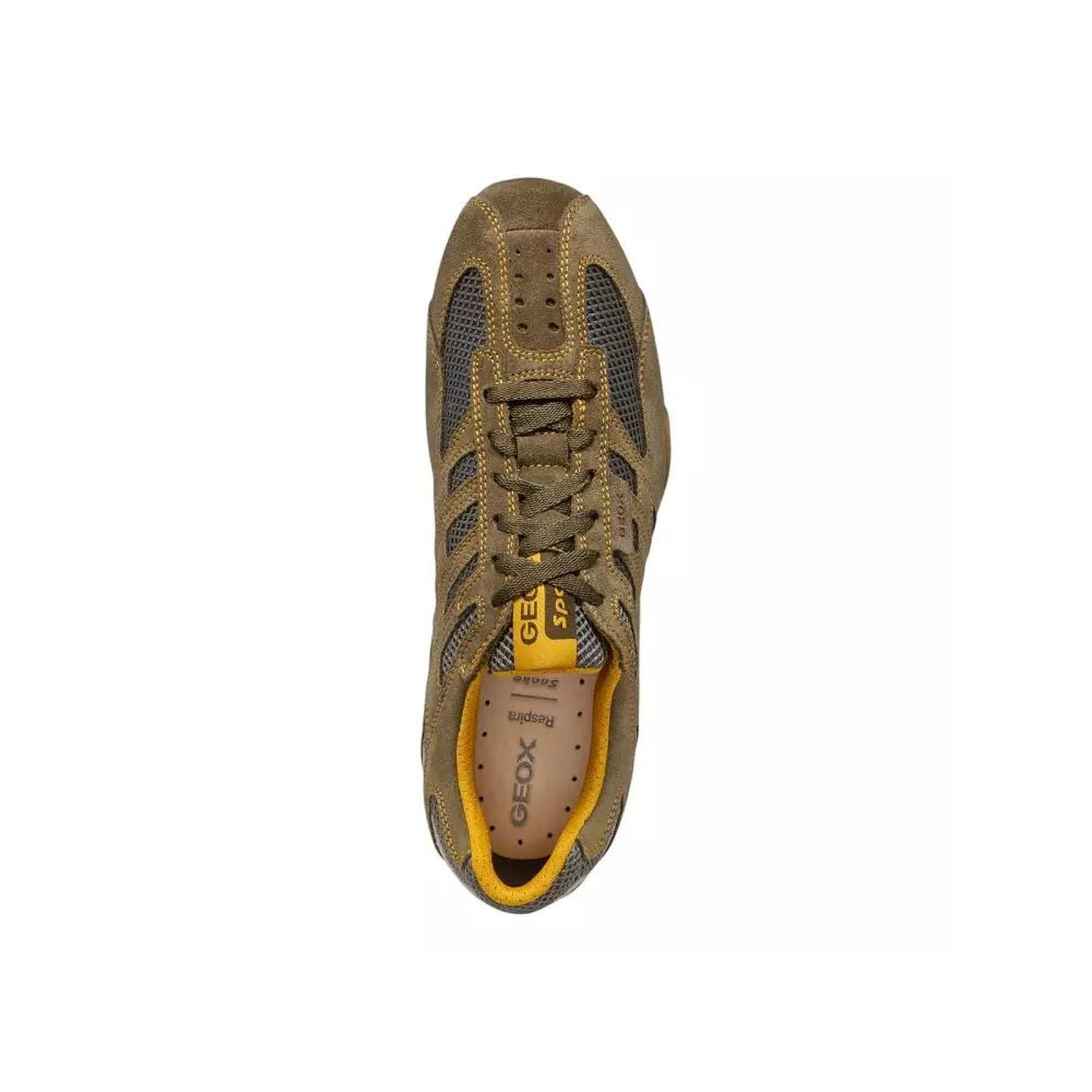 Homme U SNAKE ORIGINAL C6404-MILITARY/DK GREY Vert Vert Geox
