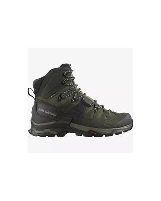 Herren trekking Schuh Salomon Quest 4D 4 Gtx