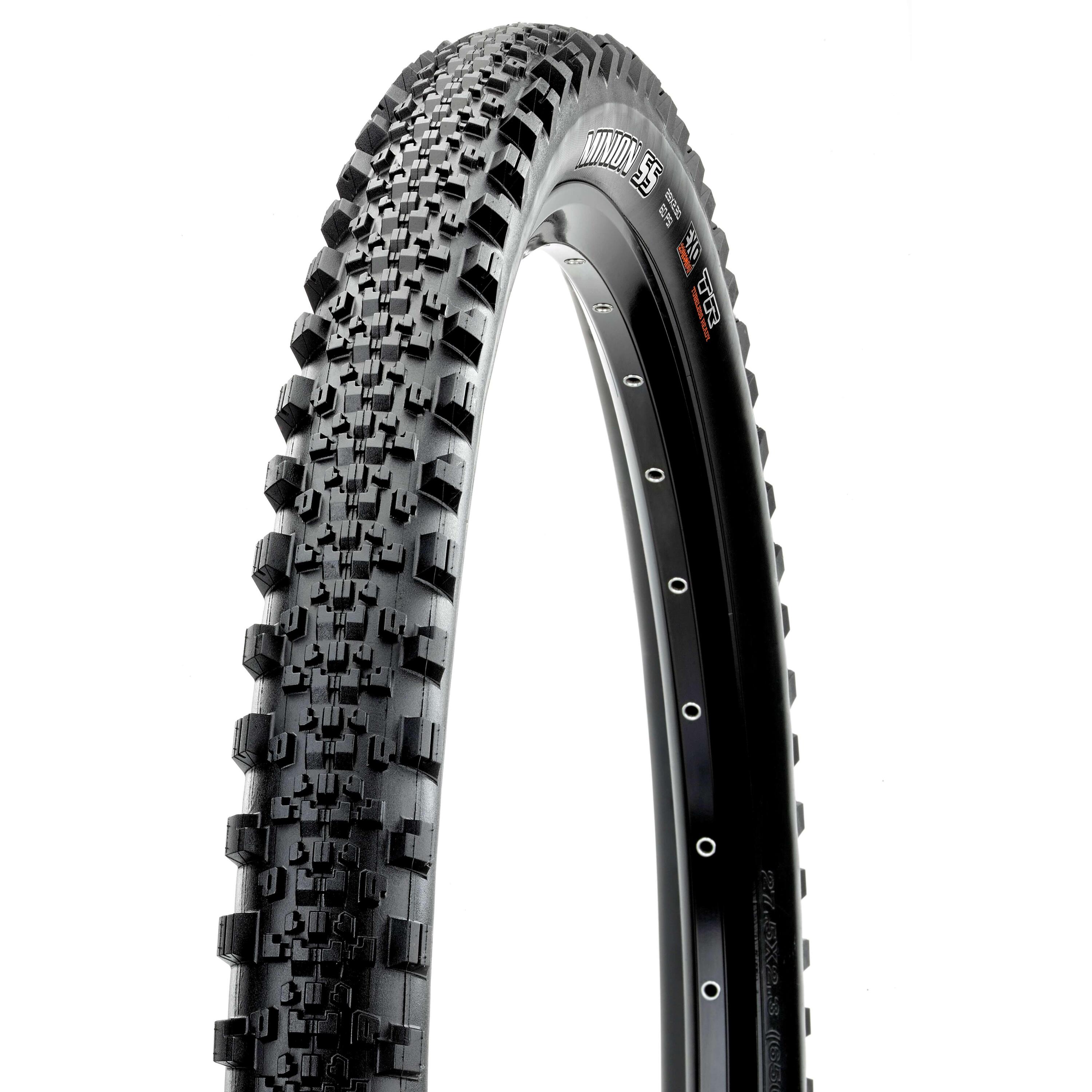 SCHWALBE picture